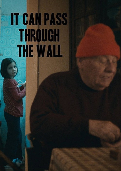 It Can Pass Through the Wall постер