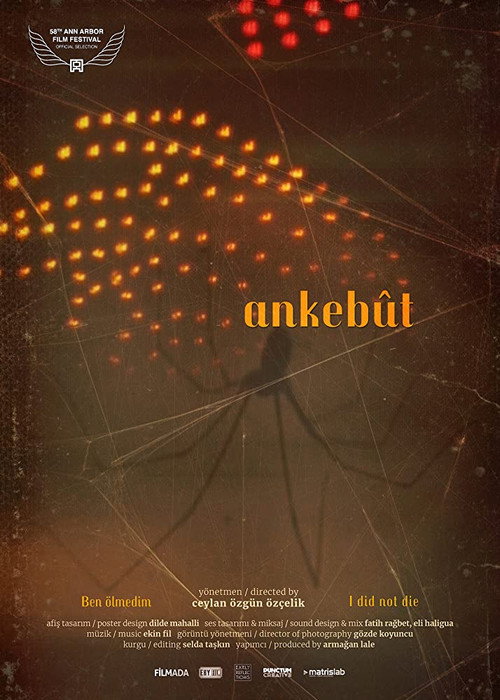 Ankebût постер