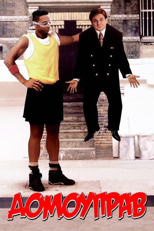 Домоуправ постер