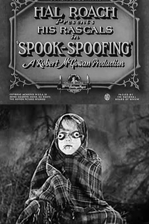 Spook Spoofing постер