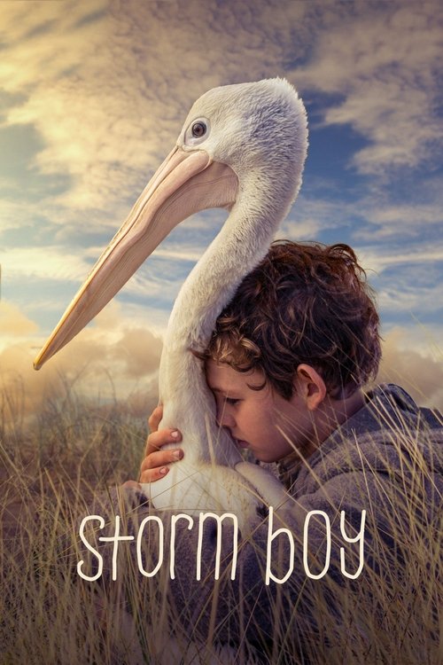 Storm Boy постер