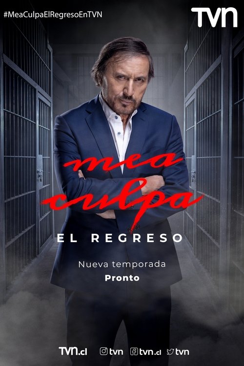 Mea culpa постер