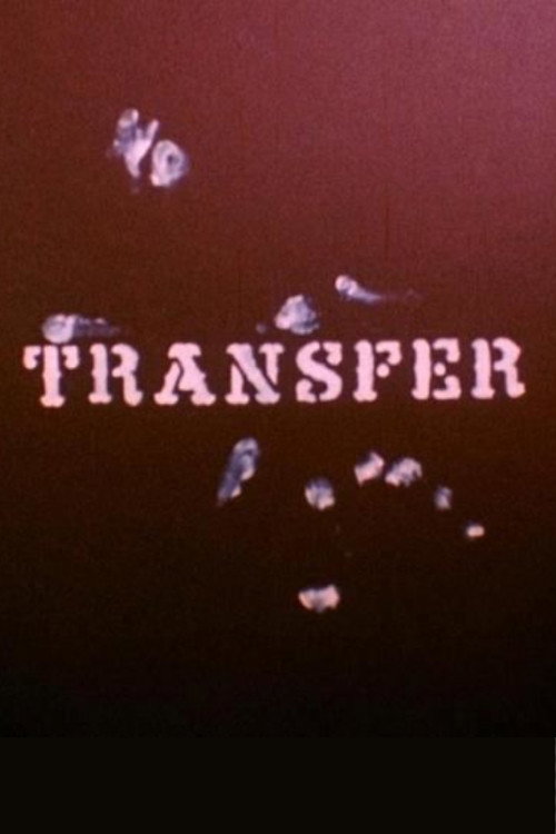 Transfer постер