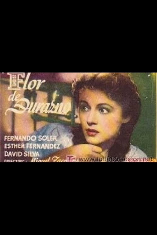 Flor de durazno постер