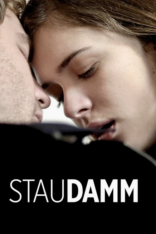 Staudamm постер