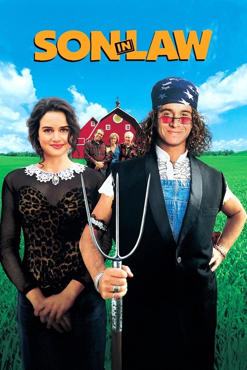 Зятек постер