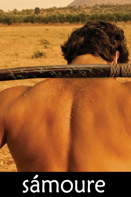 Samoure постер