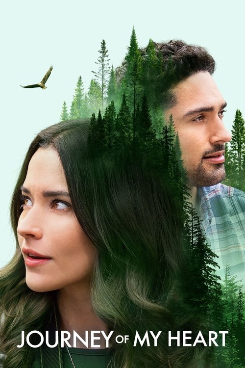 Journey of My Heart постер
