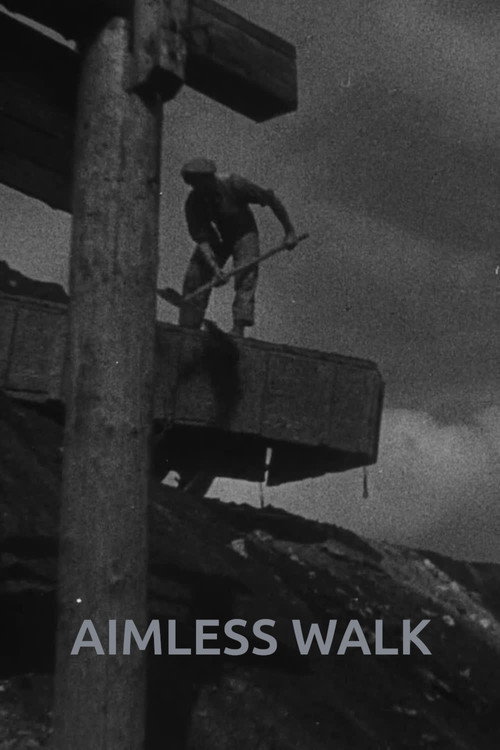 Aimless Walk постер