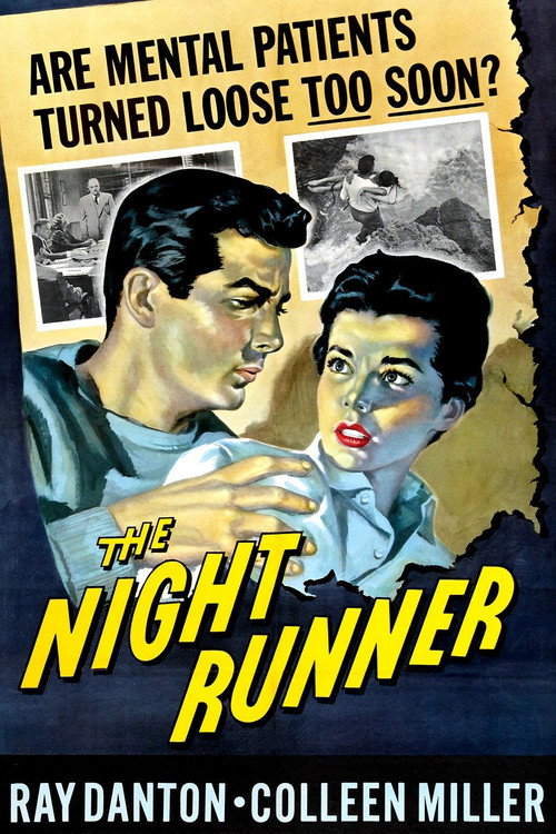 The Night Runner постер