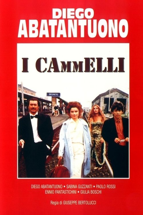 I cammelli постер
