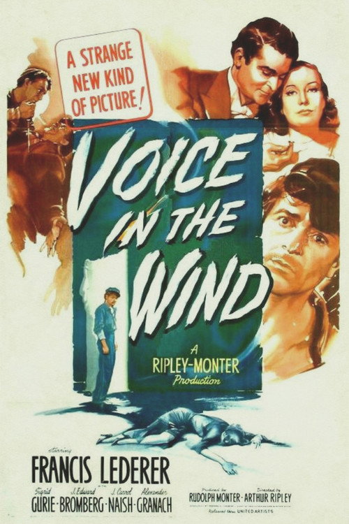 Voice in the Wind постер