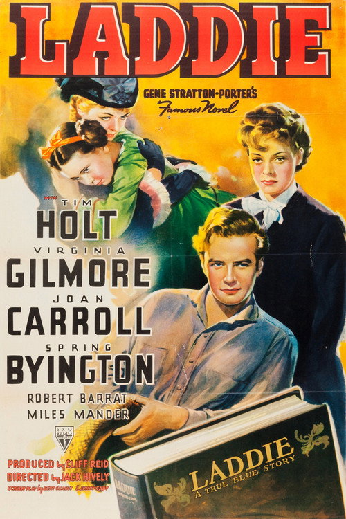 Laddie постер