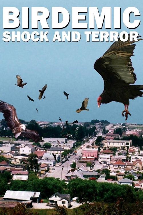 Birdemic: Shock and Terror постер