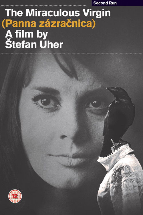 Дева-чудотворица постер