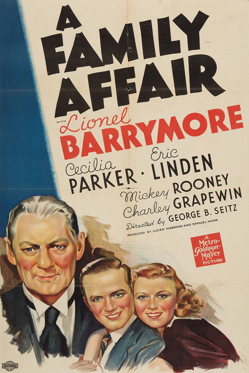 A Family Affair постер