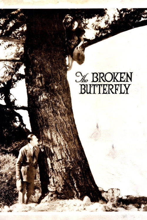 The Broken Butterfly постер