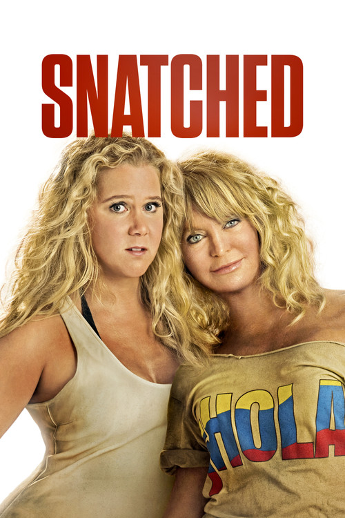 Snatched постер