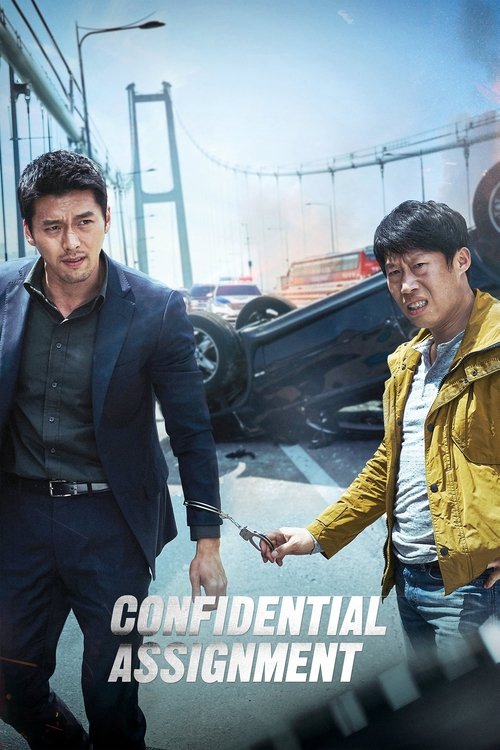 Confidential Assignment постер