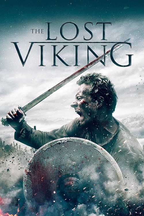 The Lost Viking постер