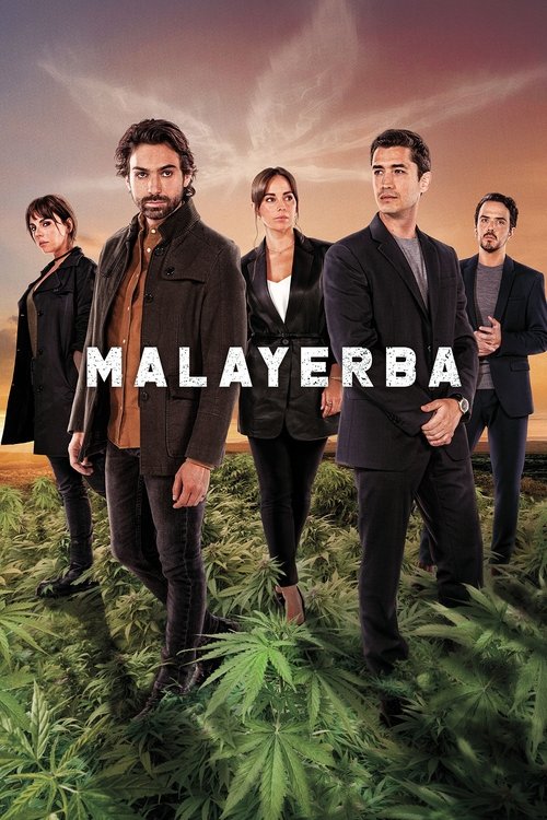 MalaYerba постер