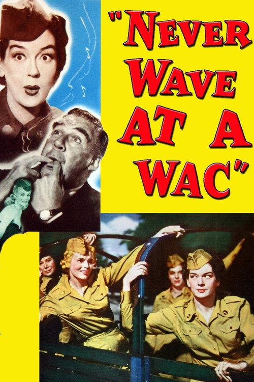 Never Wave at a WAC постер