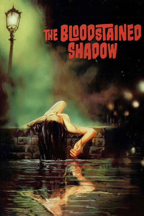 The Bloodstained Shadow постер