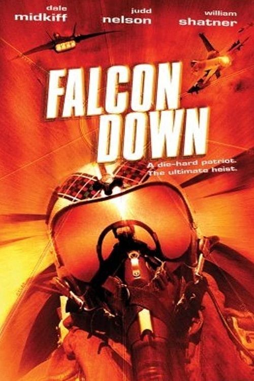 Falcon Down постер