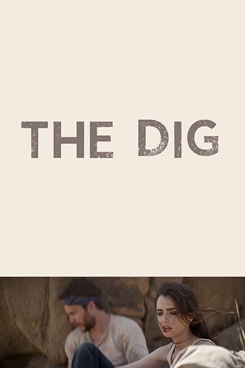 The Dig постер