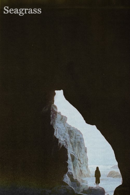Seagrass постер