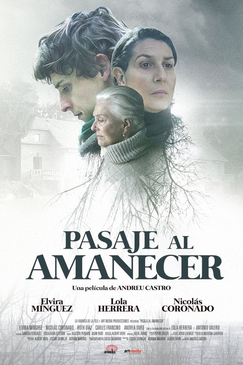 Pasaje al amanecer постер