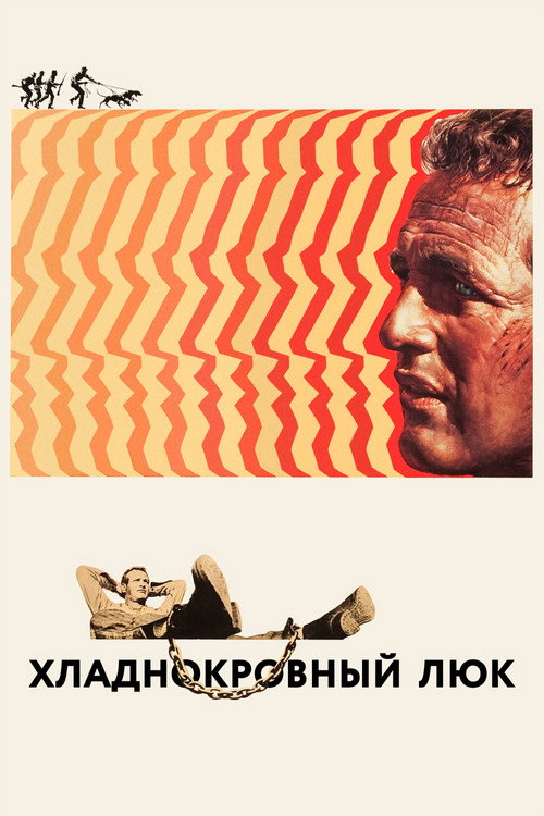 Хладнокровный Люк постер