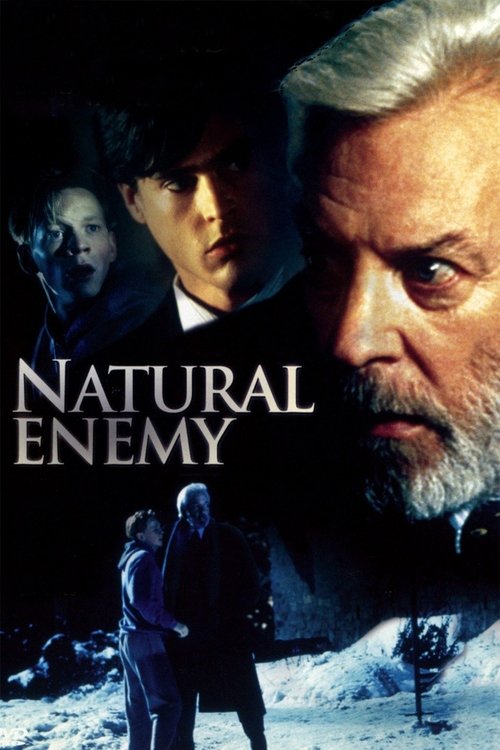 Natural Enemy постер