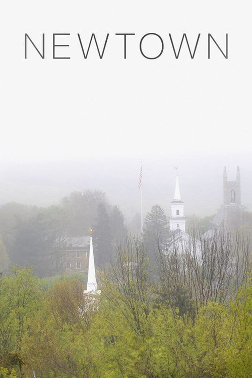 Newtown постер
