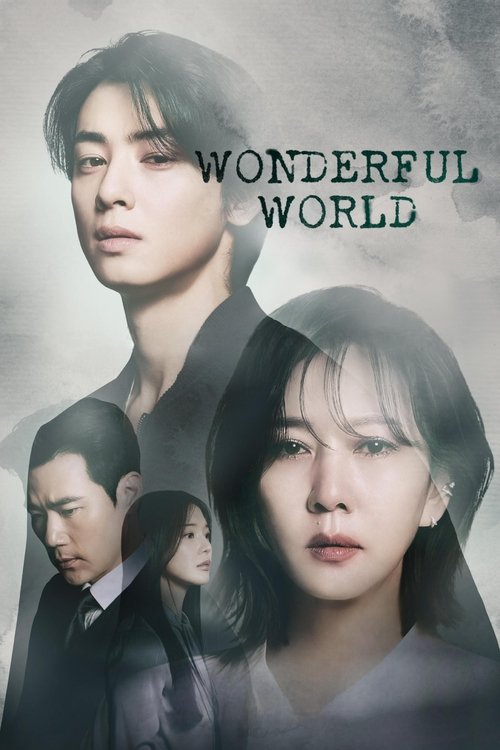Wonderful World постер