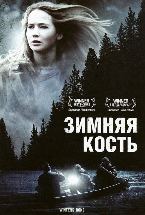 Зимняя кость постер