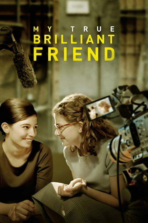 My True Brilliant Friend постер