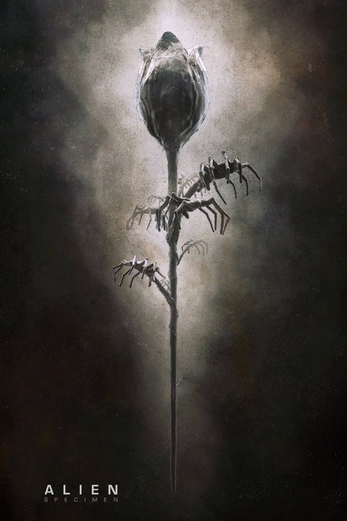 Alien: Specimen постер