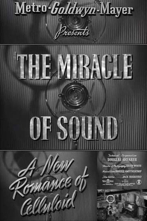 A New Romance of Celluloid: The Miracle of Sound постер