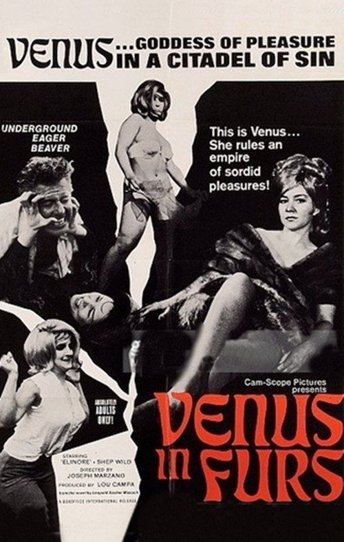 Venus in Furs постер