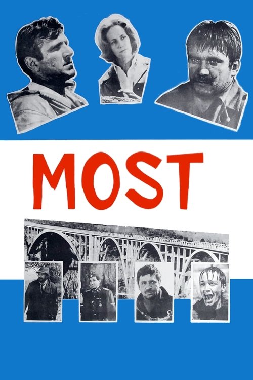 The Bridge постер
