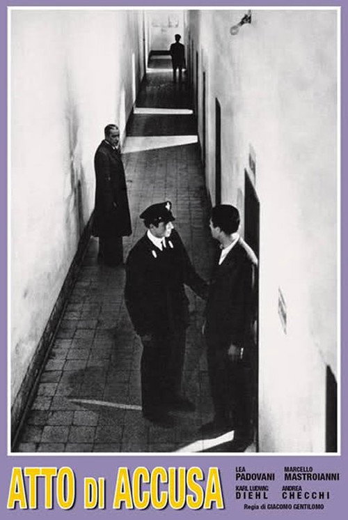 The Accusation постер