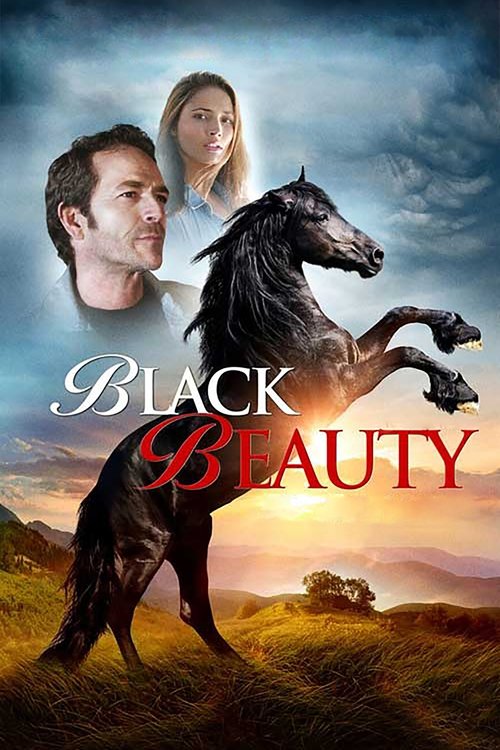Black Beauty постер
