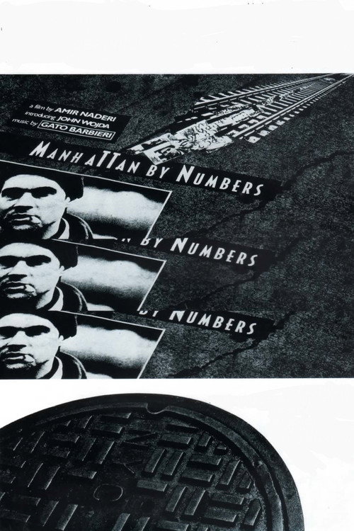 Manhattan by Numbers постер