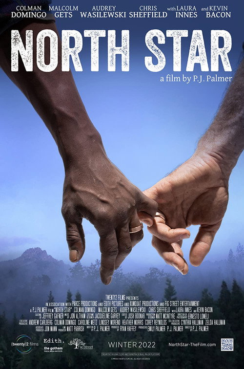 North Star постер