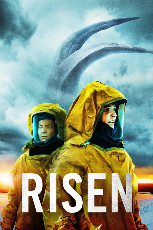 Risen постер