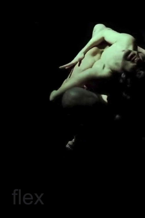 Flex постер