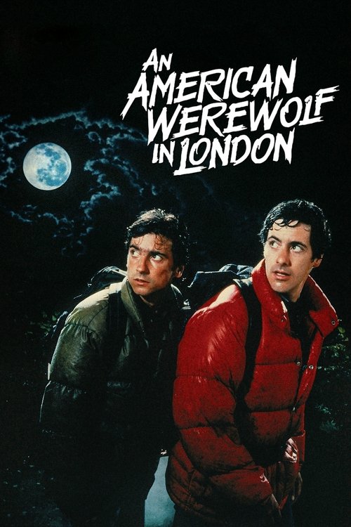 An American Werewolf in London постер