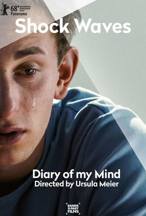 Journal de ma tête постер