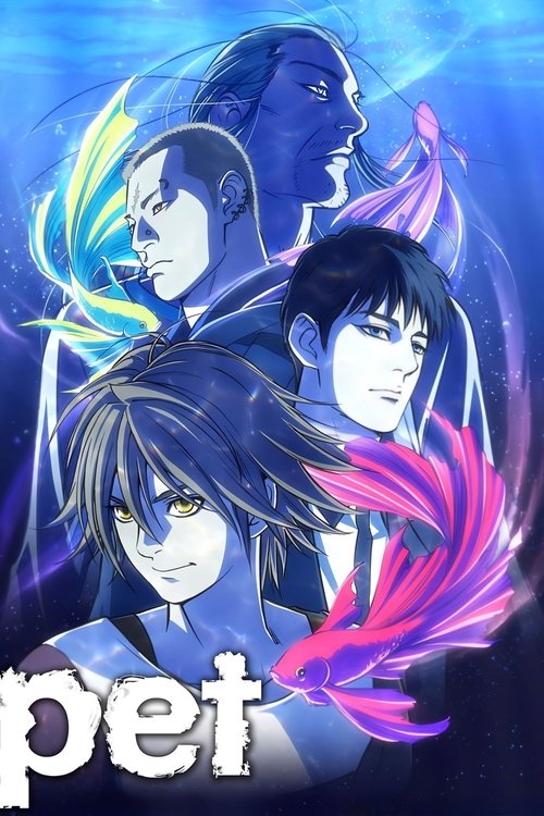 Pet постер